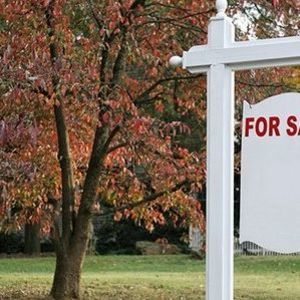 Meet your Posher, Cody